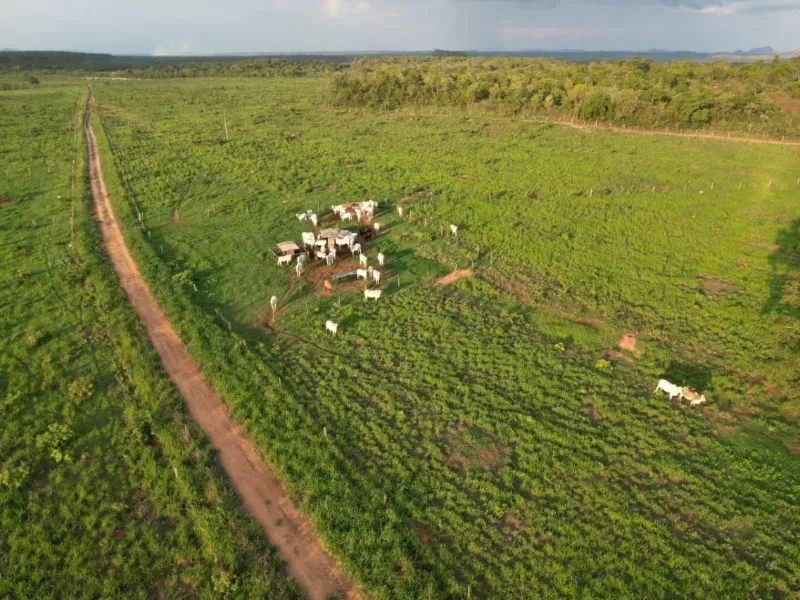 Fazenda em Recursolândia/Tocantins — Ref 2XRHV0 — Imagem 22