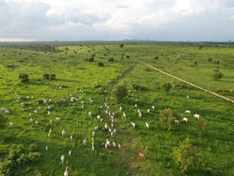 Fazenda em Recursolândia/Tocantins — Ref 2XRHV0 — Imagem 24