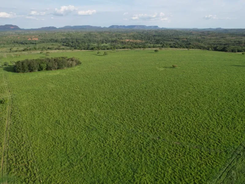 Fazenda em Recursolândia/Tocantins — Ref 2XRHV0 — Imagem 26