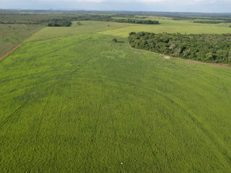 Fazenda em Recursolândia/Tocantins — Ref 2XRHV0 — Imagem 28