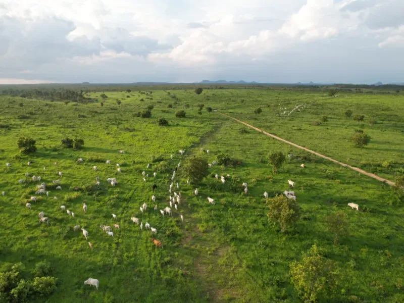 Fazenda em Recursolândia/Tocantins — Ref 2XRHV0 — Imagem 31