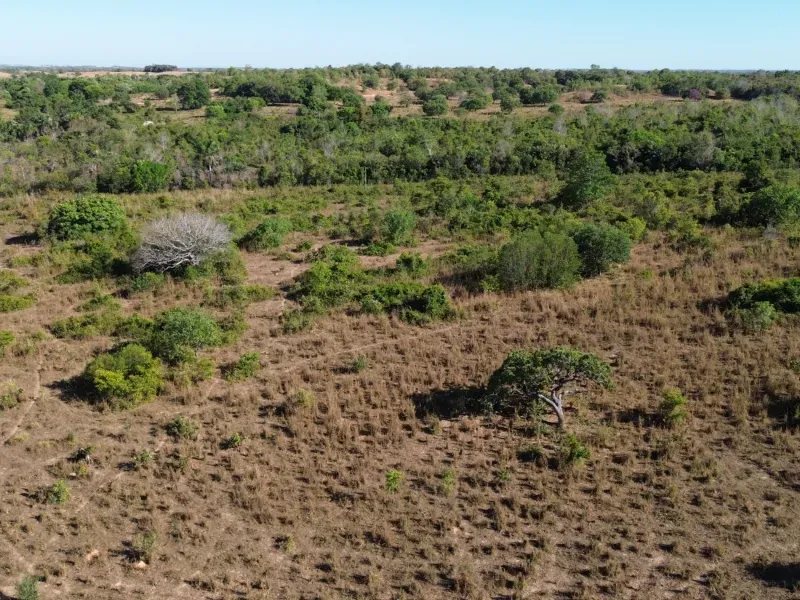 Imóvel rural em Pequizeiro/Tocantins — Ref MIWHFU1