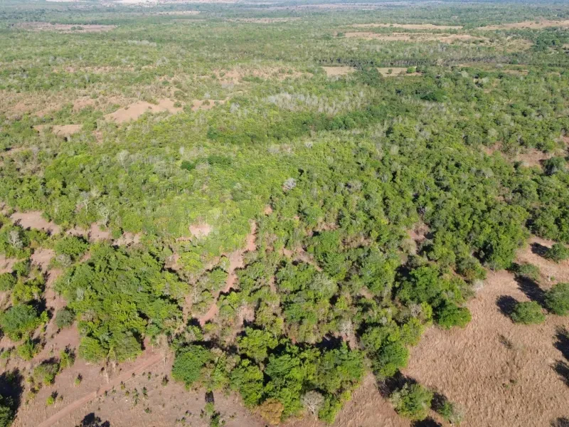 Fazenda em Pequizeiro/Tocantins — Ref MIWHFU — Imagem 2