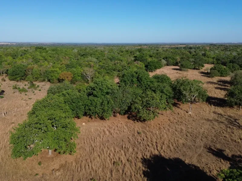 Fazenda em Pequizeiro/Tocantins — Ref MIWHFU — Imagem 3