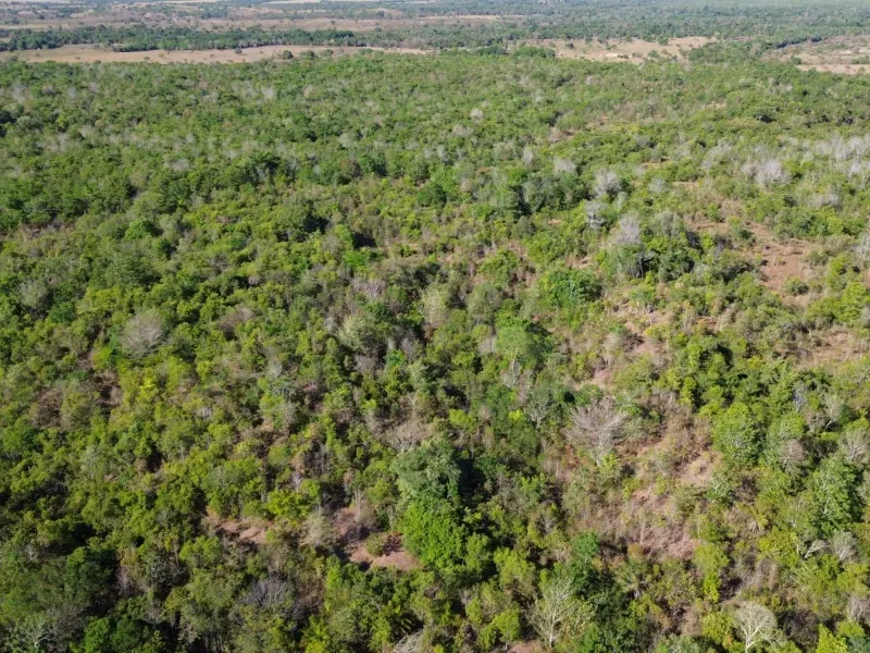 Fazenda em Pequizeiro/Tocantins — Ref MIWHFU — Imagem 4