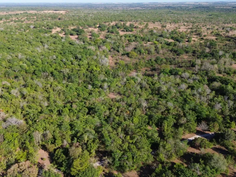 Fazenda em Pequizeiro/Tocantins — Ref MIWHFU — Imagem 5