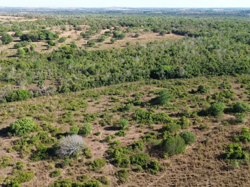 Fazenda em Pequizeiro/Tocantins — Ref MIWHFU — Imagem 6