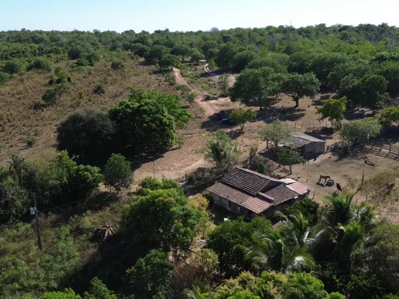 Fazenda em Pequizeiro/Tocantins — Ref MIWHFU — Imagem 7