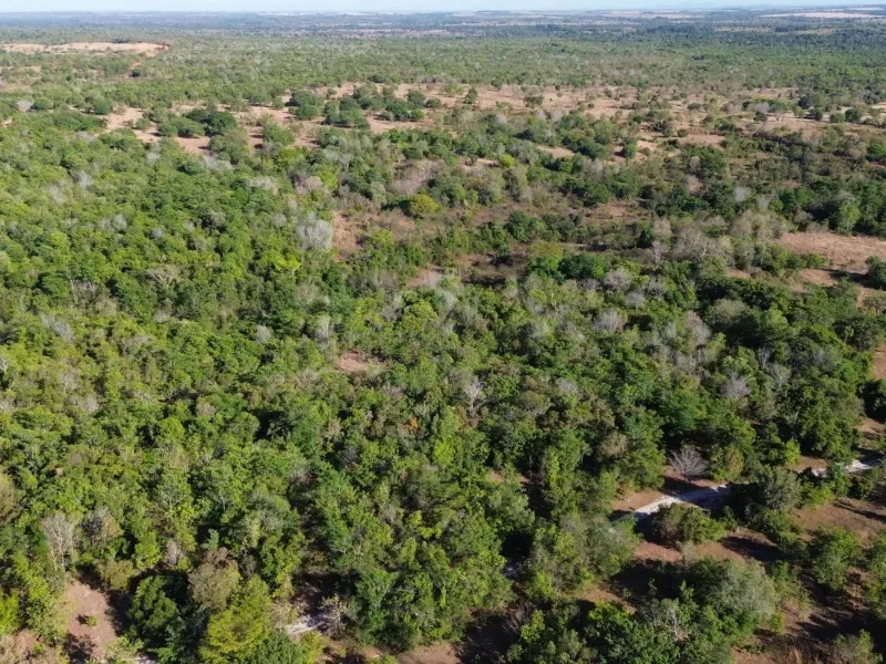 Fazenda em Pequizeiro/Tocantins — Ref MIWHFU — Imagem 8