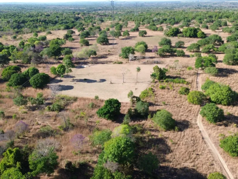 Fazenda em Pequizeiro/Tocantins — Ref MIWHFU — Imagem 9