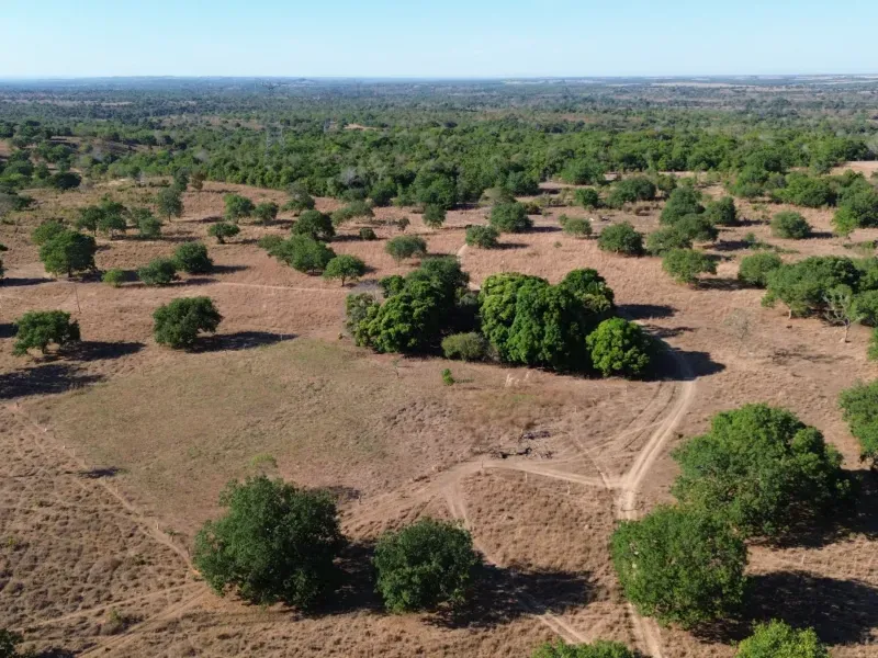 Fazenda em Pequizeiro/Tocantins — Ref MIWHFU — Imagem 10
