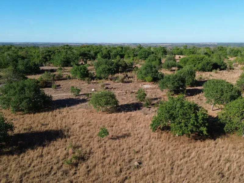 Fazenda em Pequizeiro/Tocantins — Ref MIWHFU — Imagem 11