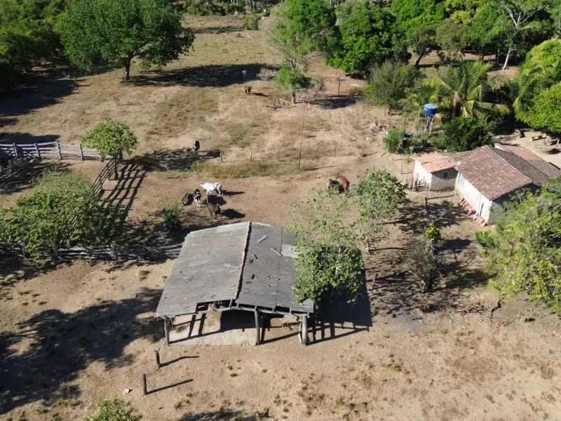 Fazenda em Pequizeiro/Tocantins — Ref MIWHFU — Imagem 12