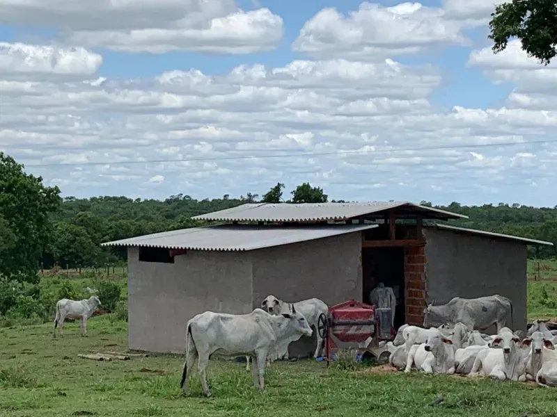 Fazenda em Nossa Senhora do Livramento/Mato Grosso — Ref D4WAYK — Imagem 2