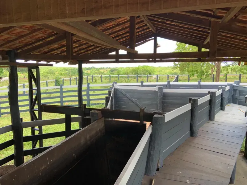 Fazenda em Nossa Senhora do Livramento/Mato Grosso — Ref D4WAYK — Imagem 6