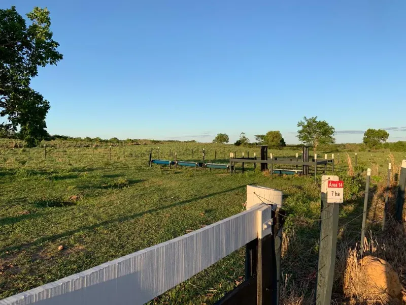 Fazenda em Nossa Senhora do Livramento/Mato Grosso — Ref D4WAYK — Imagem 16