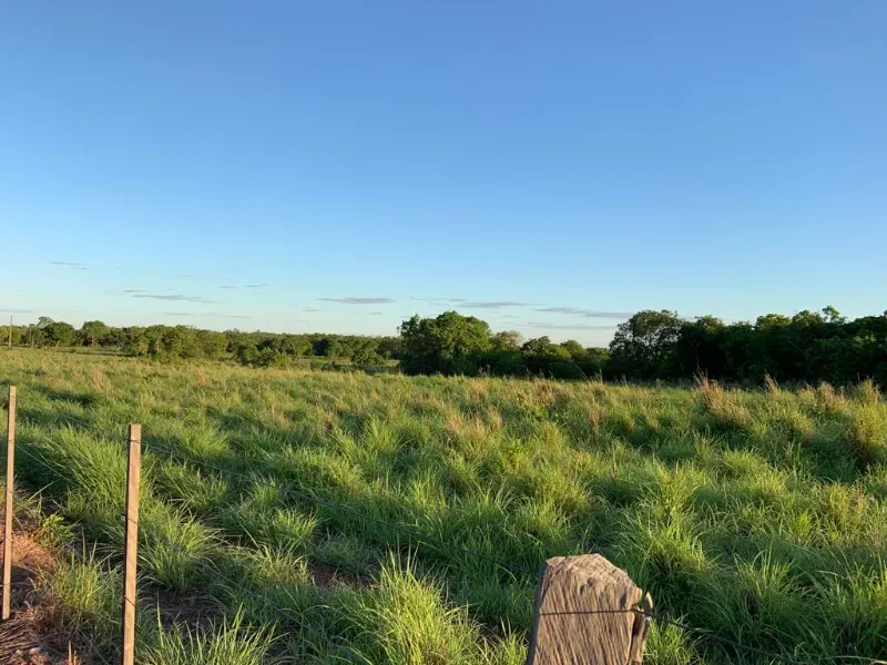 Fazenda em Nossa Senhora do Livramento/Mato Grosso — Ref D4WAYK — Imagem 18