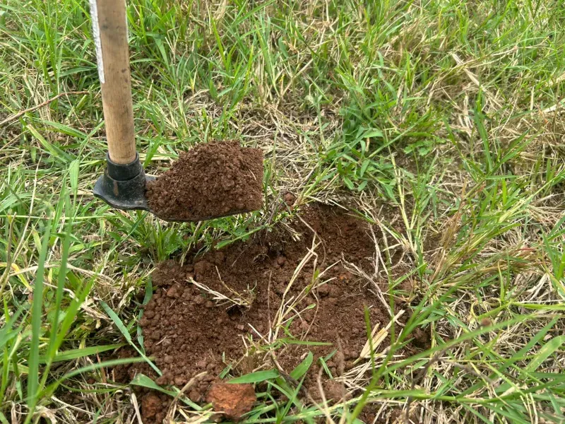 Fazenda em Conceição do Araguaia/Pará — Ref XJRV3Y — Imagem 2