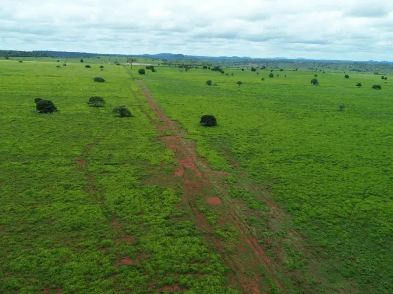 Fazenda em Conceição do Araguaia/Pará — Ref XJRV3Y — Imagem 3