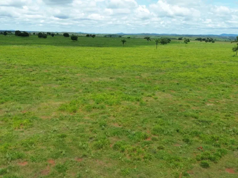 Fazenda em Conceição do Araguaia/Pará — Ref XJRV3Y — Imagem 4