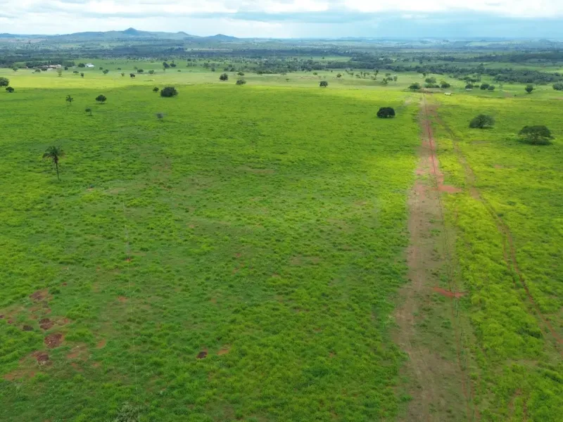 Fazenda em Conceição do Araguaia/Pará — Ref XJRV3Y — Imagem 5