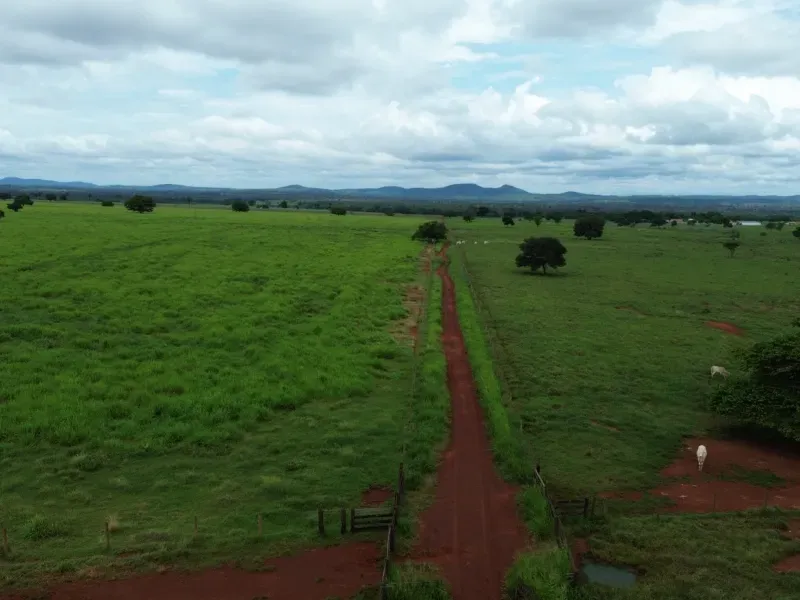 Fazenda em Conceição do Araguaia/Pará — Ref XJRV3Y — Imagem 7