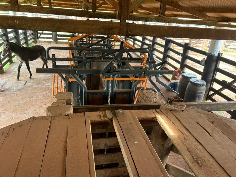 Fazenda em Conceição do Araguaia/Pará — Ref XJRV3Y — Imagem 9