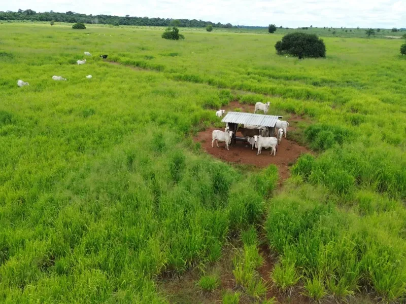 Fazenda em Conceição do Araguaia/Pará — Ref XJRV3Y — Imagem 10