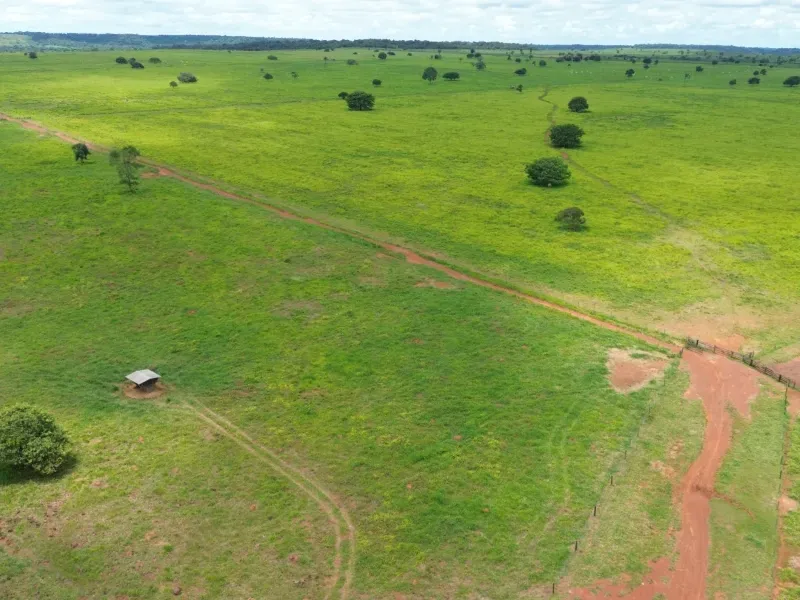 Fazenda em Conceição do Araguaia/Pará — Ref XJRV3Y — Imagem 14