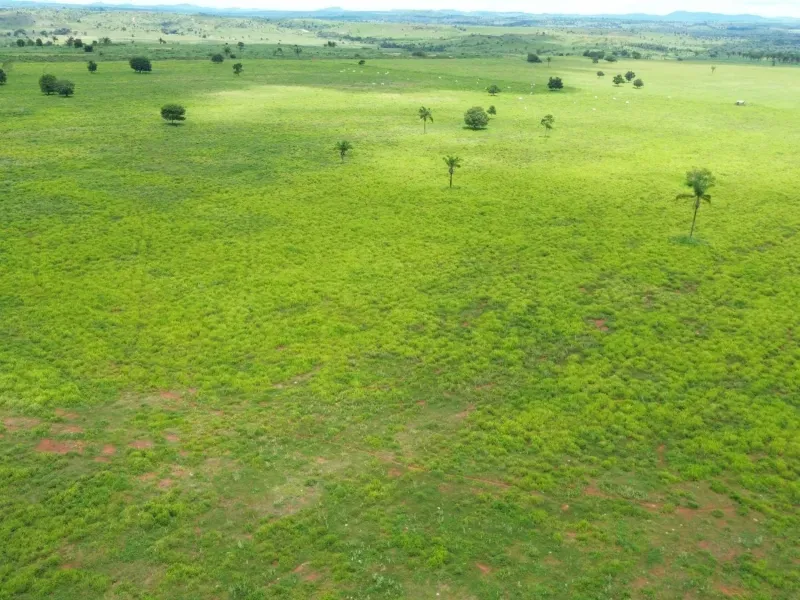 Fazenda em Conceição do Araguaia/Pará — Ref XJRV3Y — Imagem 15