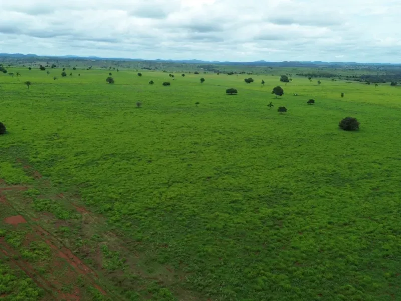 Fazenda em Conceição do Araguaia/Pará — Ref XJRV3Y — Imagem 16