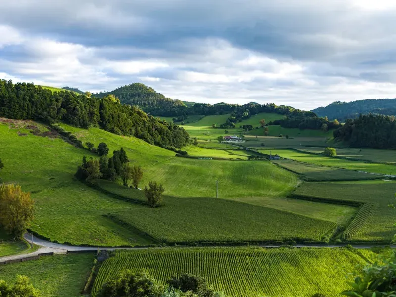 Quem Pode Arrendar Terra no Brasil? Requisitos Legais e Regras do Estatuto da Terra