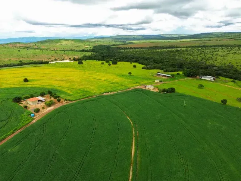 CCIR, CAR e ITR: Entenda as Diferenças e Para Que Serve Cada Documento Rural