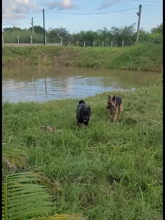 Rancho em Aracoiaba/Ceará — Ref 9GZZRY — Imagem 15
