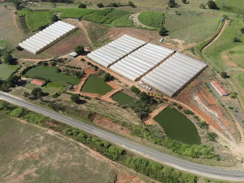 Imóvel rural em Amparo/São Paulo — Ref D110O21