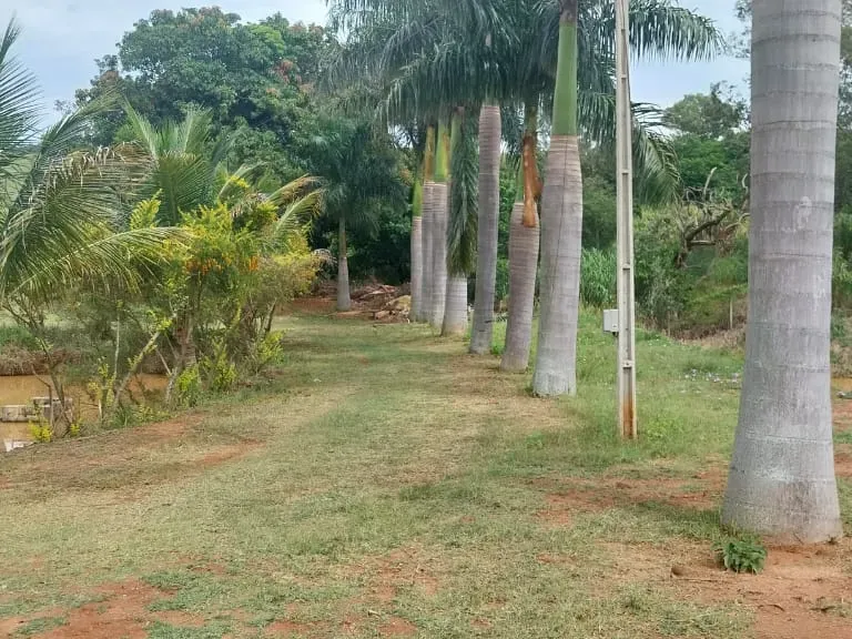 Sítio em Amparo/São Paulo — Ref D110O2 — Imagem 43