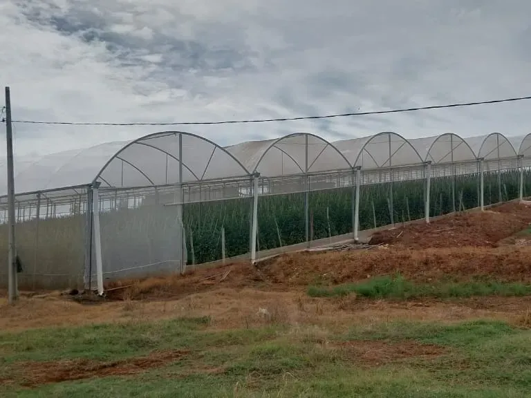 Sítio em Amparo/São Paulo — Ref D110O2 — Imagem 5