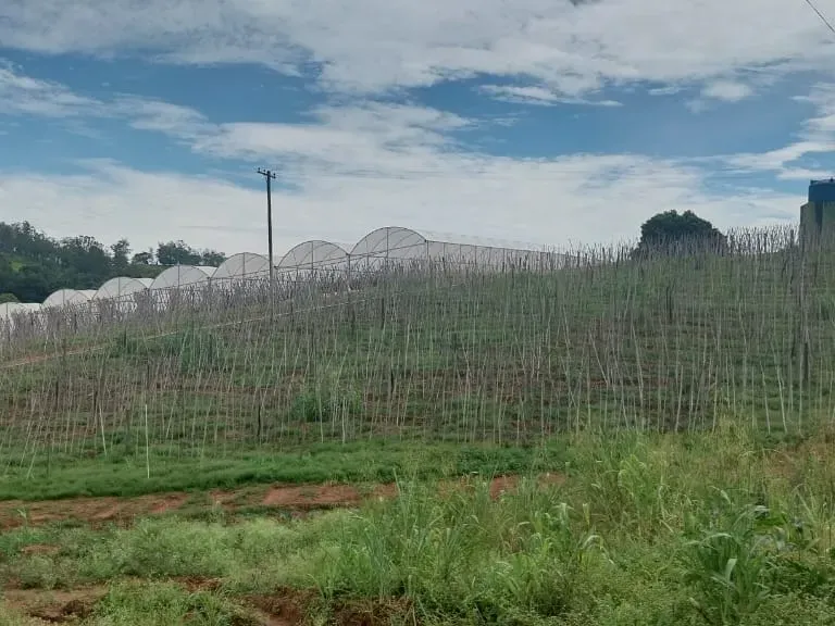 Sítio em Amparo/São Paulo — Ref D110O2 — Imagem 18