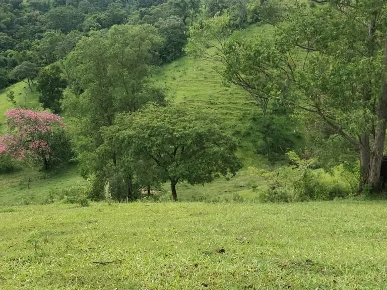 Sítio em Amparo/São Paulo — Ref D110O2 — Imagem 30