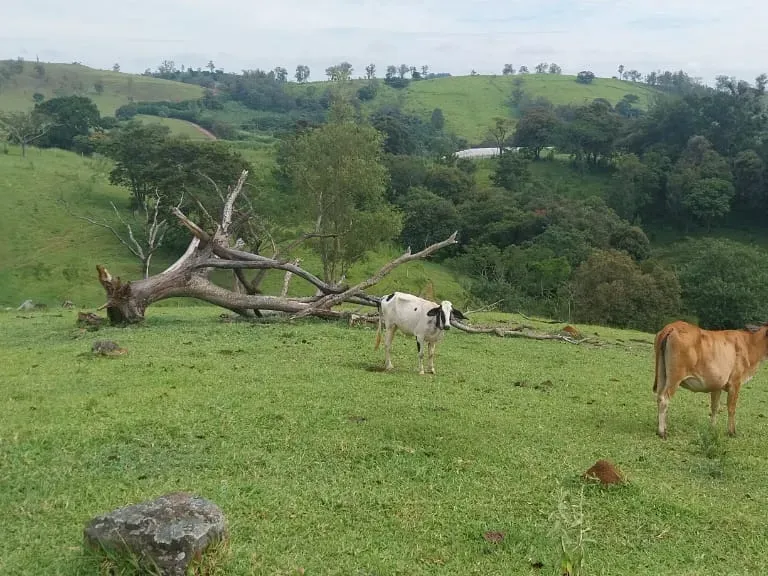 Sítio em Amparo/São Paulo — Ref D110O2 — Imagem 33