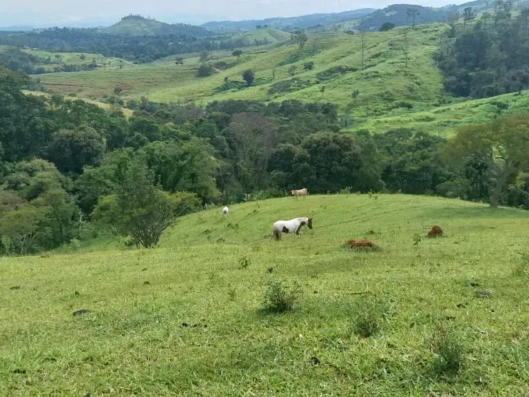 Sítio em Amparo/São Paulo — Ref D110O2 — Imagem 31