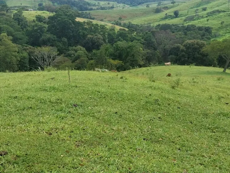 Sítio em Amparo/São Paulo — Ref D110O2 — Imagem 35