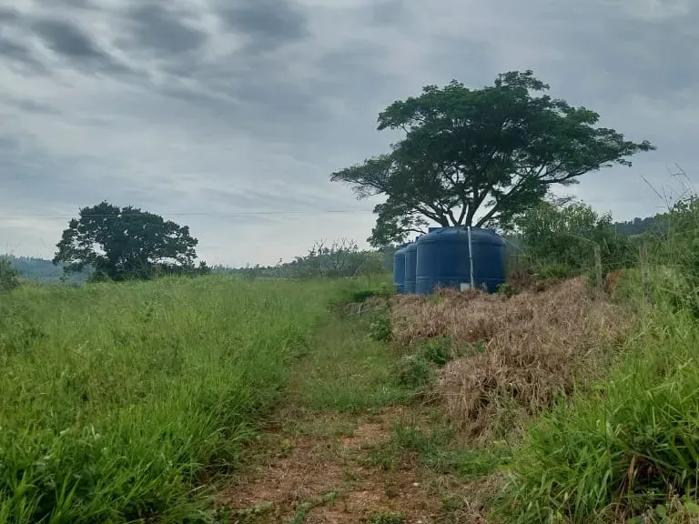 Sítio em Amparo/São Paulo — Ref D110O2 — Imagem 29