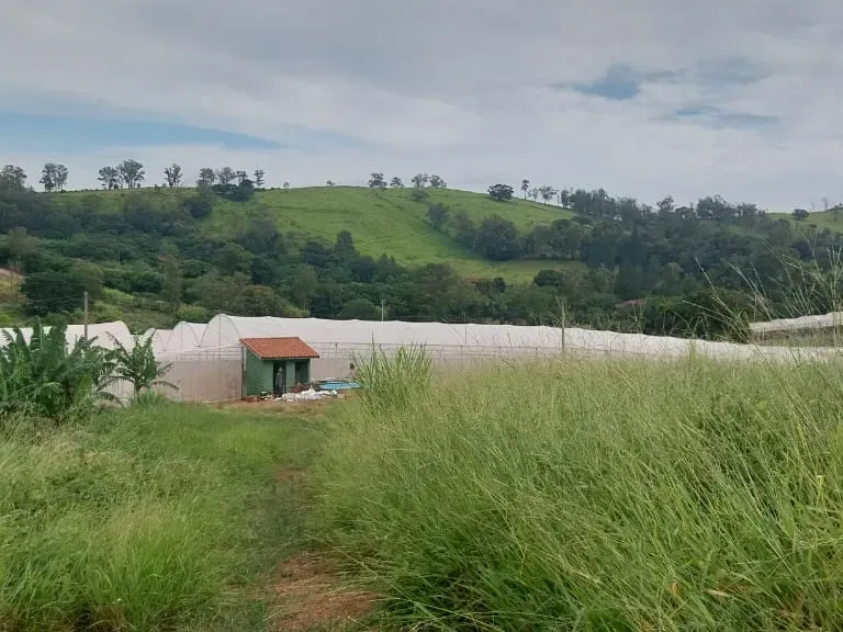 Sítio em Amparo/São Paulo — Ref D110O2 — Imagem 23