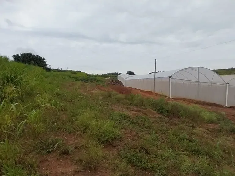Sítio em Amparo/São Paulo — Ref D110O2 — Imagem 8