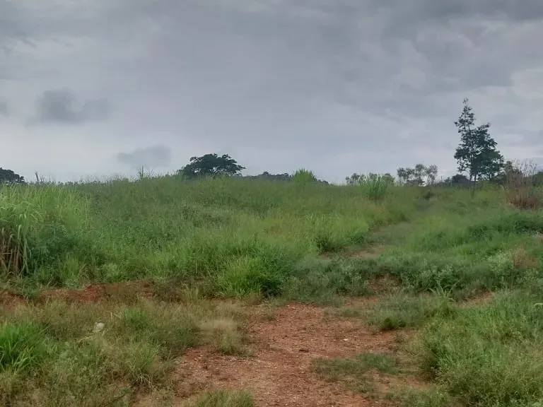 Sítio em Amparo/São Paulo — Ref D110O2 — Imagem 37