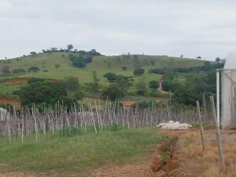 Sítio em Amparo/São Paulo — Ref D110O2 — Imagem 21