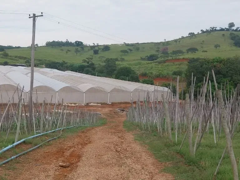 Sítio em Amparo/São Paulo — Ref D110O2 — Imagem 11