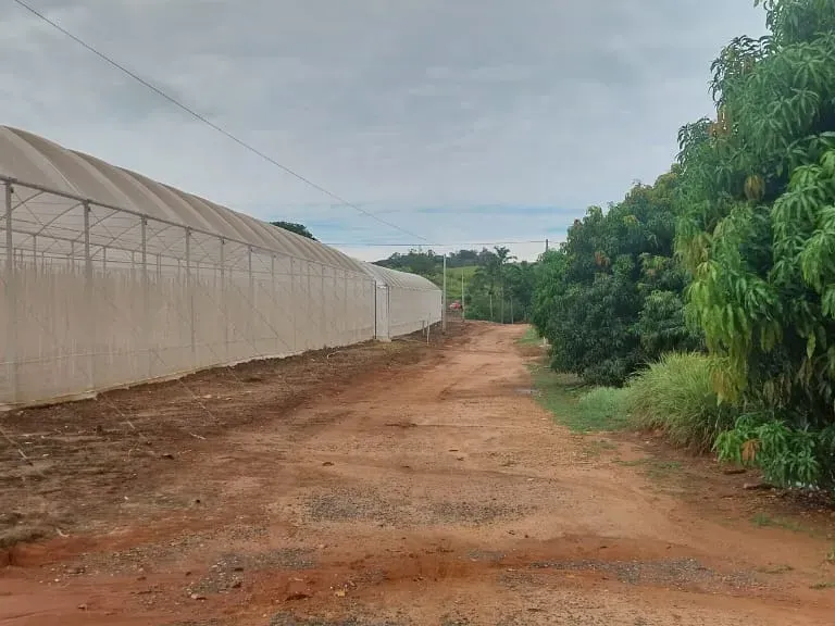 Sítio em Amparo/São Paulo — Ref D110O2 — Imagem 15