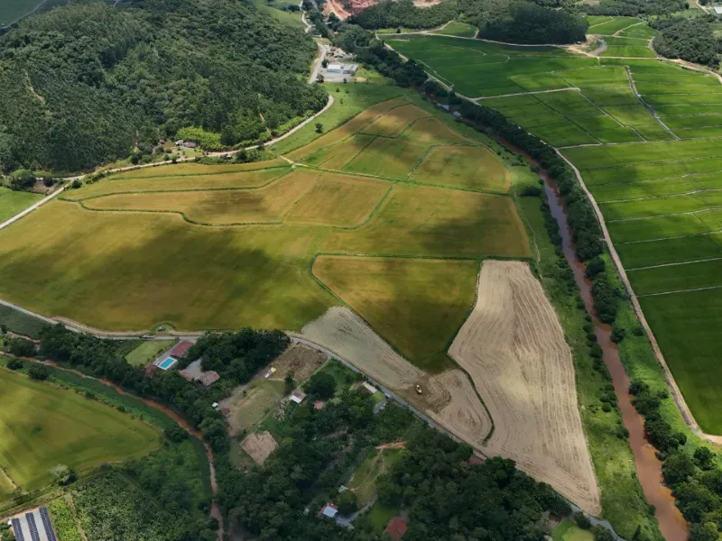 Sítio em Araquari/Santa Catarina — Ref 4C649L — Imagem 12